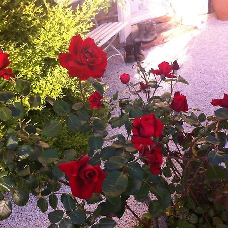 Bed and Breakfast L'Ecrin Villeneuve-sur-Lot Esterno foto