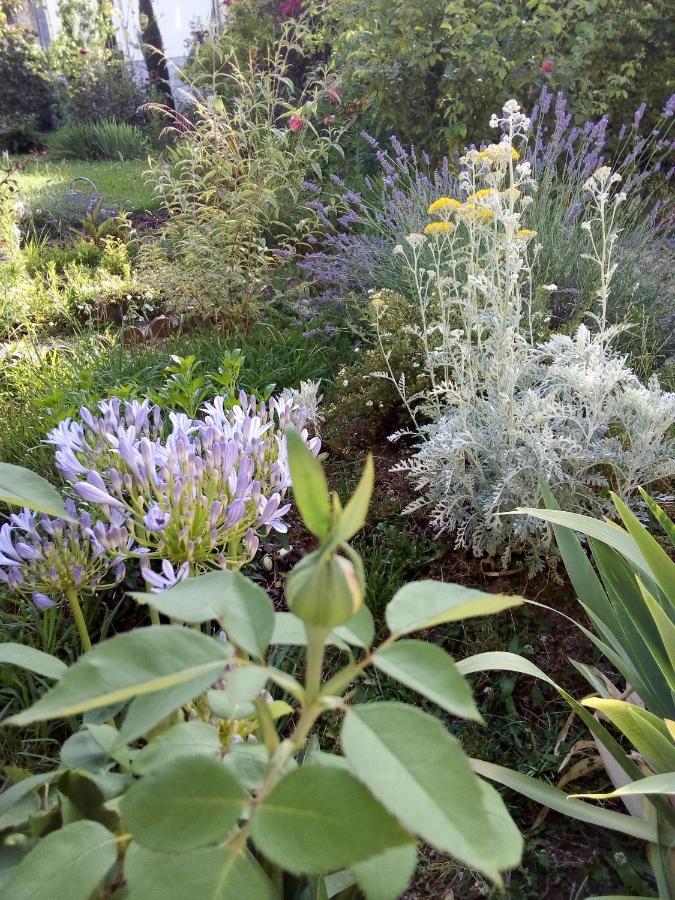 Bed and Breakfast L'Ecrin Villeneuve-sur-Lot Esterno foto