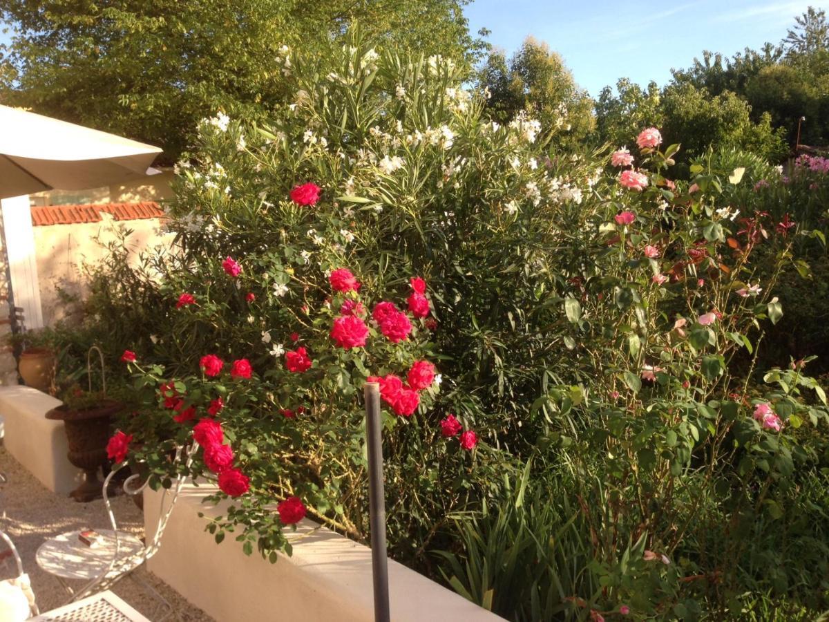 Bed and Breakfast L'Ecrin Villeneuve-sur-Lot Esterno foto