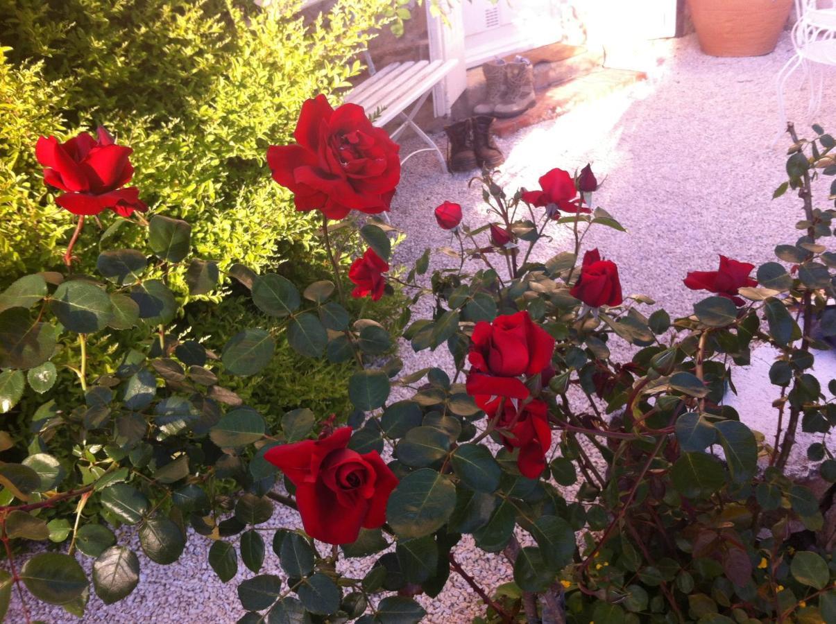 Bed and Breakfast L'Ecrin Villeneuve-sur-Lot Esterno foto